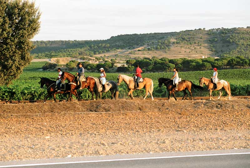 Actividades - Mi Rinconcillo