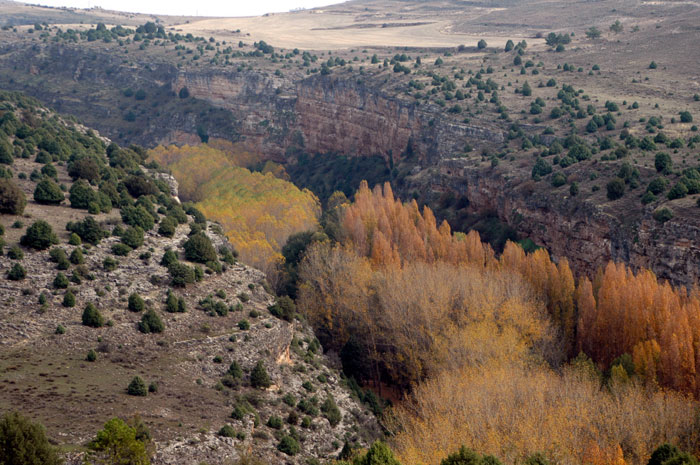 Las Hoces del río Duratón - Mi Rinconcillo